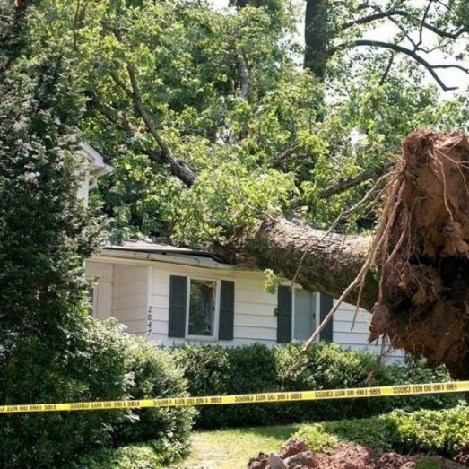 Storm Wind Damage Repair Services in Boone County, Kentucky