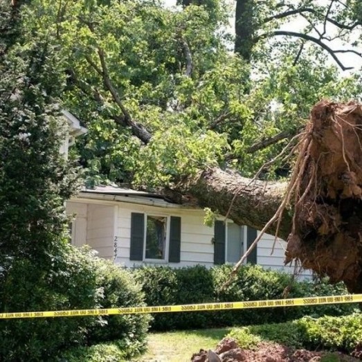 Storm Wind Damage Repair Services in in Boone County, Kentucky